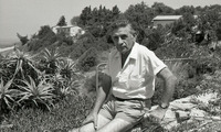 אשר נויב ועמוס.