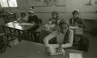 קיבוץ שלעבים.