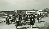 קיבוץ שלעבים.