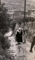 מג'דל שאמס.