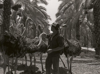 קיבוץ אפיקים.