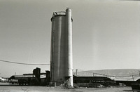 קיבוץ כנרת.