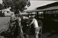 קיבוץ כנרת.