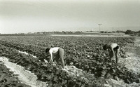 מילואים בחצבה, 24/11/1983.