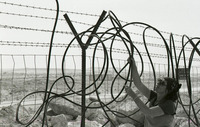ניצנה, 1985.
