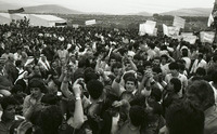 ניצנה, 1985.