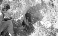 IDF units finding an Arab terrorist in the Judean Hills.
