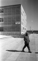 Black Afro-American families who declared themselves as followers of Moses and penetrated into Israel, found finally their home in Dimona, a little town in the Negev.