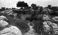 Caves at Moshav Agor, named as the Flies Caves.