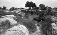 Caves at Moshav Agor, named as the Flies Caves.