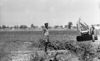 Fire destructed a huge quantity of hay in Kibbutz Hazorea.
