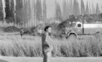 Fire destructed a huge quantity of hay in Kibbutz Hazorea.