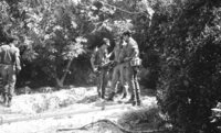 IDF units searching after Arab terrorists in Gaza Strip who hide in the orchards surrounding the Gaza town.