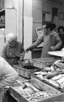 Fresh fish supply for the Hacarmel market.
