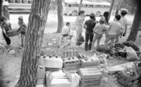 Children enjoying their summer vacation in the forest of Mishmar HaEmek.