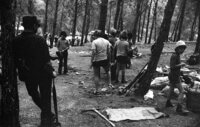 Children enjoying their summer vacation in the forest of Mishmar HaEmek.