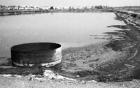 A drainage canal near the Mikve Israel agricultural school south of Tel Aviv caused a mosquito plaque in the near by populated area.
