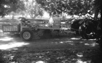 An unique mashine, built specialy for harvesting potatos is used successfully.