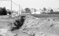 The sewage of Kalkilya running into the fields of Kfar Saba.