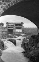 The rainy winther brought health to the rivers and streems on the Golan Hgiths.