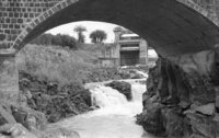 The rainy winther brought health to the rivers and streems on the Golan Hgiths.
