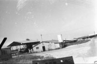 Irrigation at Kfar Hayarok.