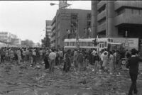 Angry flower-growers tossed bunches of wilting flowers from the roofs of buses and trucks in the centre of Tel Aviv.