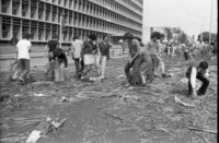 Angry flower-growers tossed bunches of wilting flowers from the roofs of buses and trucks in the centre of Tel Aviv.