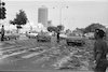 Angry flower-growers tossed bunches of wilting flowers from the roofs of buses and trucks in the centre of Tel Aviv.