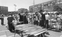 Orthodox Jews checking the Lulav one of the four pieces which are used in the Succot prayers.