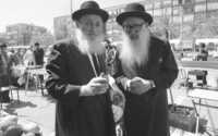 Orthodox Jews checking the Lulav one of the four pieces which are used in the Succot prayers.