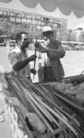 Orthodox Jews checking the Lulav one of the four pieces which are used in the Succot prayers.