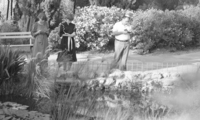 The traditional (Tashlich) pray shortly before the Jewish New Year - throwing their sins into the nearby water lake.