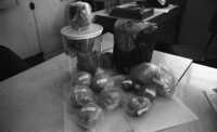 Police cought a quantity of drugs like Hashish and other stolen property.