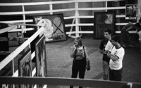 A new motorcycle on Israeli roads.