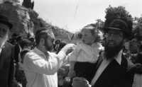 The traditionlal haircut of three-years-old male children at the orthodox Jewish families is done in a public ceremony usual at tombs of famous Rabbis in Jerusalem or at Mt Miron near Safat.