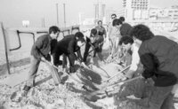 Members of Young Mapam Party, demonstrating on a Tel Aviv beach against the government's economic policy, which they say, will create unemloyment.