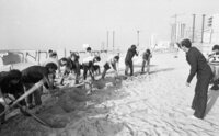 Members of Young Mapam Party, demonstrating on a Tel Aviv beach against the government's economic policy, which they say, will create unemloyment.