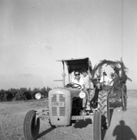 קיבוץ סעד; חתונה.