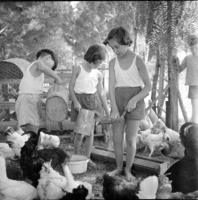 "חמניות" ו"ניצנים" במשק הילדים.