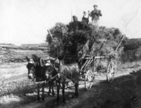 ללא כותרת.