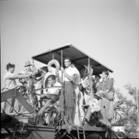 בחג הביכורים — צבי עצמון וברנהרד שיפר; אשר לוי מחברת הנוער הבולגרית.