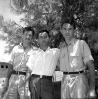 האחים גולדברגר.