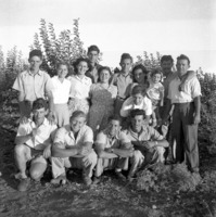 מטע.