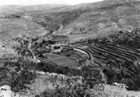 הרכבת בין הרי ביתר.
