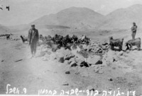 טיול.