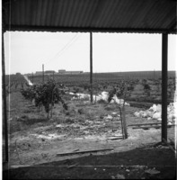 חברי כפר סאלד במשמר הנגב.