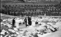 הר הזיתים