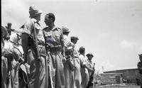 תמונות בהגנה.
