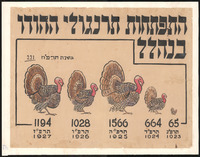 תרנגולי הודו.